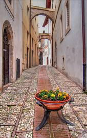 Chicca centro storico Spoleto