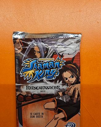 Shaman King Reincarnazione 