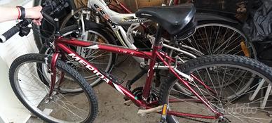 biciclete in buono stato 