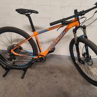 Mtb 29 