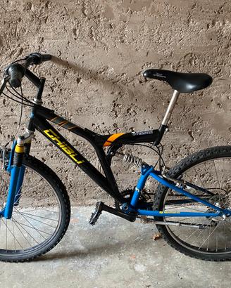 Bicicletta ragazzo