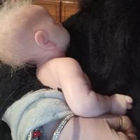 bambola Reborn in silicone 