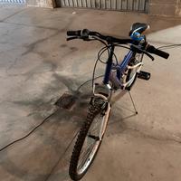 Bici da ragazzo