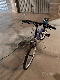Bici da ragazzo