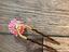 Immagine 5