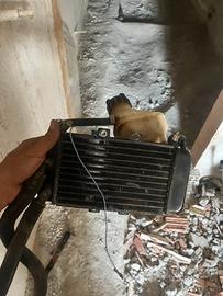 Radiatore piaggio