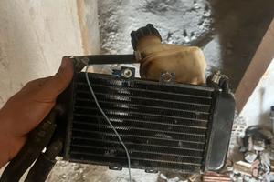 Radiatore piaggio
