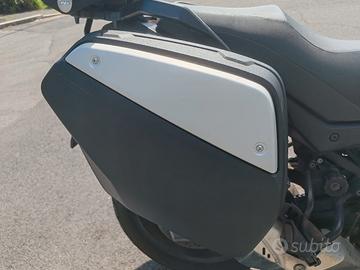 Borse laterali V-Strom 650 