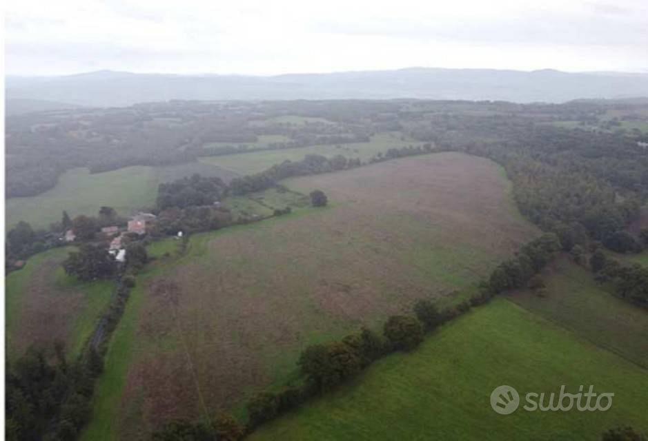 Immobile in asta di 1106 m² a Castel Giorgio - Vista 5