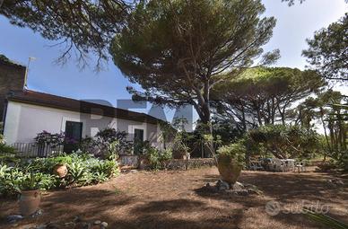 Cascina/Casale - Messina