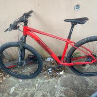 Bici mountain bike