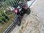 Immagine 2