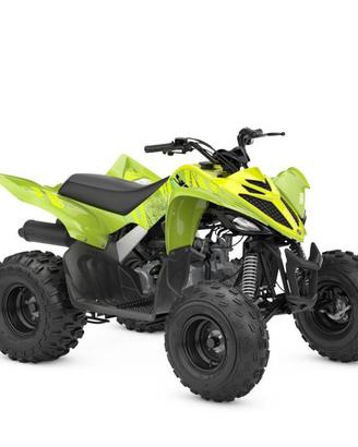 YAMAHA YFM 110 R - Quad 110cc