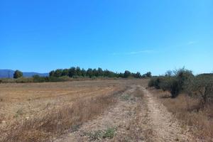 Terreno Loc. Tuerra Manna mq. 7415