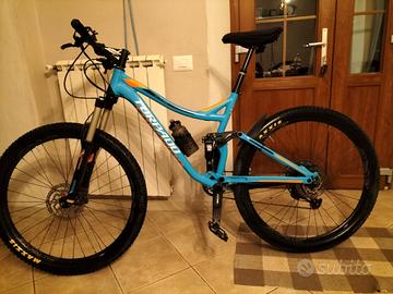 torrpado eclipse L  29 