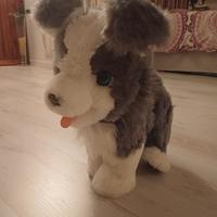 cagnolino realistico