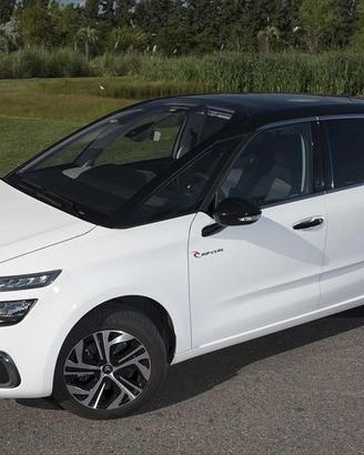 Ricambi citroen C4 Picasso