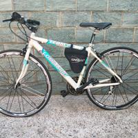 bici Lombardo 