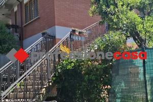 Duplex Pomezia [PC1127VRG]