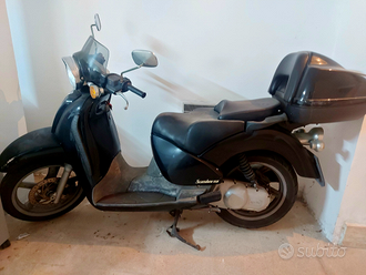 Scarabeo 150 anno 2000 Vendita in Moto e scooter