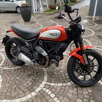 Ducati scrambler 800 icon
