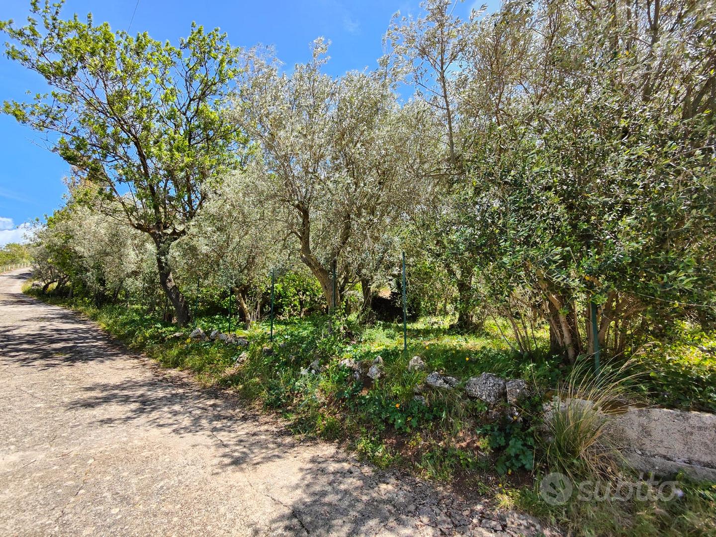 monreale/monte caputo ampi lotti di terreno - Vista 4