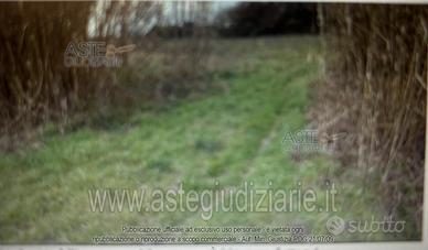 Terreno Agricolo Viterbo [A4352643]