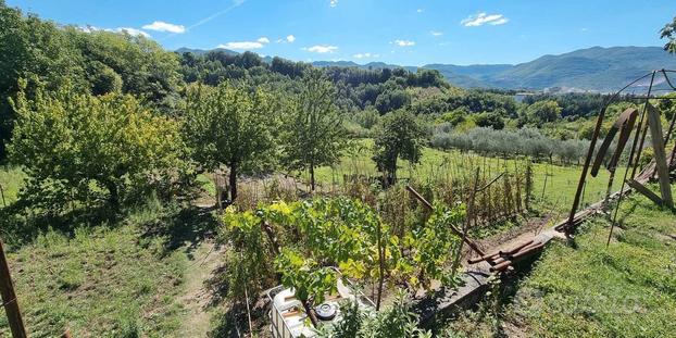 Terreno agricolo zona Centrale