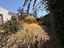 Immagine 22