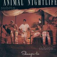 Animal nightlife - shangri-la lp