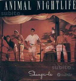 Animal nightlife - shangri-la lp