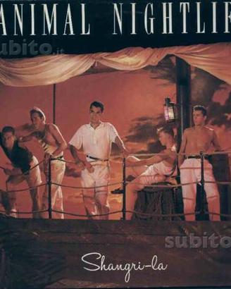 Animal nightlife - shangri-la lp
