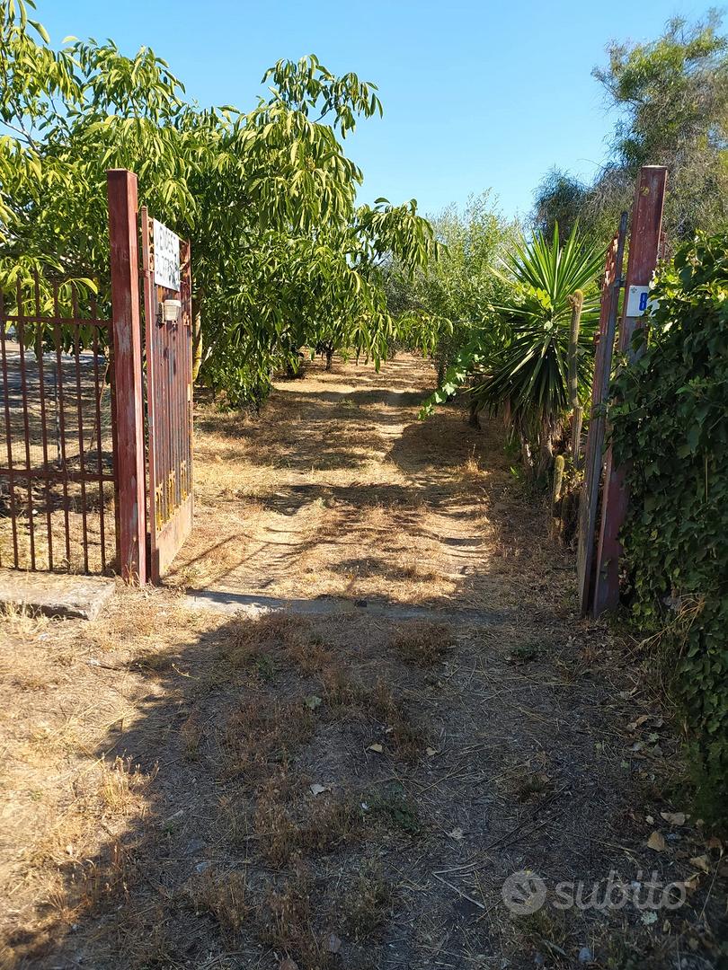 Terreno agricolo - Vista 2