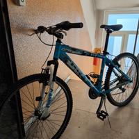 Mountain Bike Dirty Eagle 24"