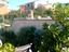 Immagine 6
