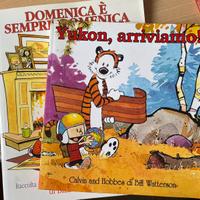 Fumetti Calvin and Hobbes