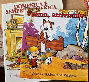 Fumetti Calvin and Hobbes