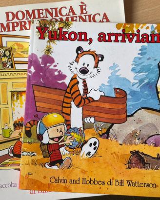 Fumetti Calvin and Hobbes