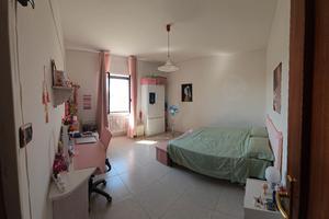 singola studentesse campus