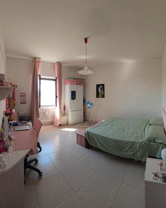 singola studentesse campus
