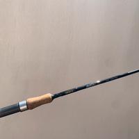 Canna da pesca light spinning