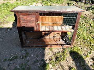 conigliera per conigli 