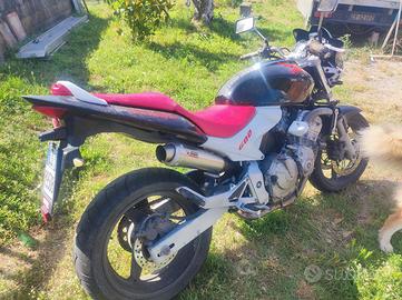 honda hornet