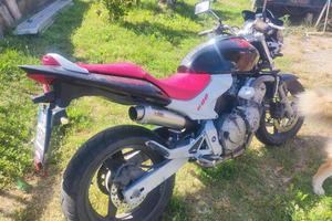 honda hornet