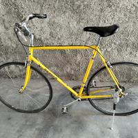 bicicletta marca serena originale