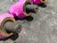Immagine 6