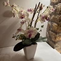 Pianta finta orchiedea con vasetto bianco