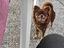 Immagine 1