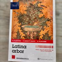 “Latina arbor” grammatica