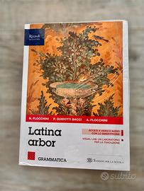 “Latina arbor” grammatica